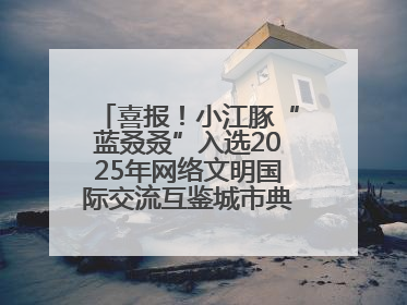 喜报！小江豚“蓝叒叒”入选2025年网络文明国际交流互鉴城市典型案例