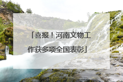 喜报！河南文物工作获多项全国表彰