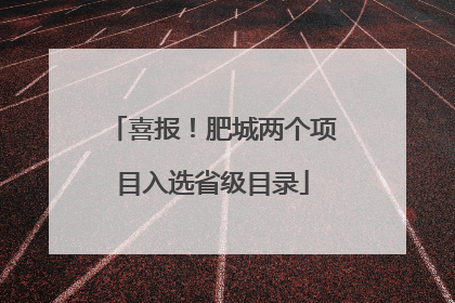 喜报！肥城两个项目入选省级目录