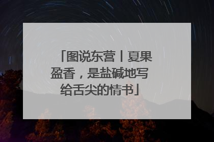 图说东营丨夏果盈香，是盐碱地写给舌尖的情书