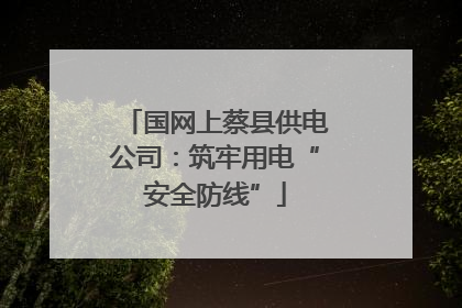 国网上蔡县供电公司：筑牢用电“安全防线”