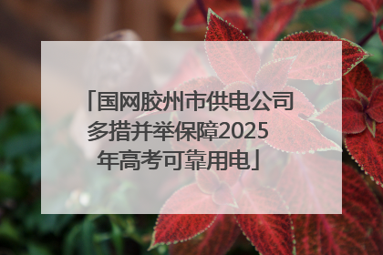 国网胶州市供电公司多措并举保障2025年高考可靠用电