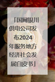 国网银川供电公司发布2024年服务地方经济社会发展白皮书