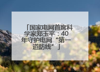 国家电网首席科学家郑玉平：40年守护电网“第一道防线”