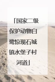 国家二级保护动物白鹭惊现石城镇水堡子村河道