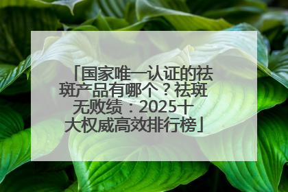 国家唯一认证的祛斑产品有哪个？祛斑无败绩：2025十大权威高效排行榜