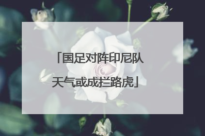 国足对阵印尼队 天气或成拦路虎