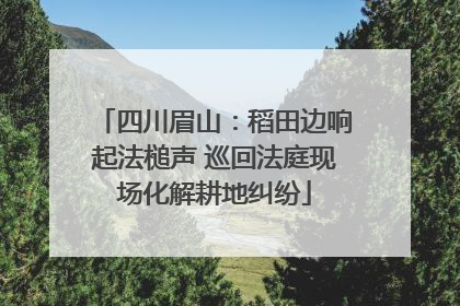 四川眉山：稻田边响起法槌声 巡回法庭现场化解耕地纠纷