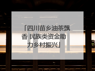 四川苗乡油茶飘香 民族类资金助力乡村振兴