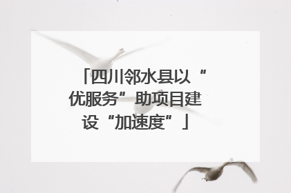 四川邻水县以“优服务”助项目建设“加速度”