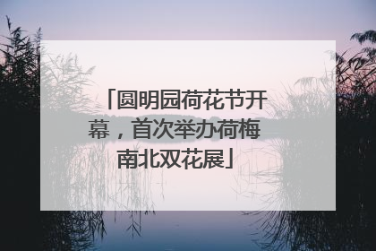 圆明园荷花节开幕，首次举办荷梅南北双花展