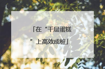 在“千层蛋糕”上高效成桩