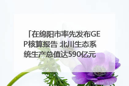 在绵阳市率先发布GEP核算报告 北川生态系统生产总值达590亿元｜新闻发布最前线