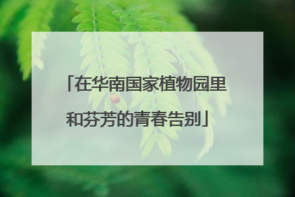 在华南国家植物园里和芬芳的青春告别