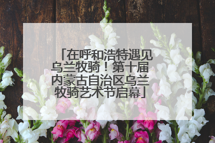 在呼和浩特遇见乌兰牧骑！第十届内蒙古自治区乌兰牧骑艺术节启幕