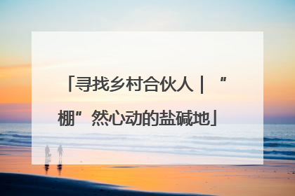 寻找乡村合伙人｜“棚”然心动的盐碱地