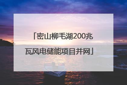密山柳毛湖200兆瓦风电储能项目并网