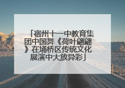宿州十一中教育集团中国舞《荷叶翩翩》在埇桥区传统文化展演中大放异彩