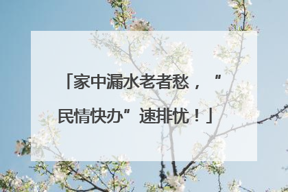 家中漏水老者愁，“民情快办”速排忧！