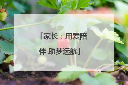 家长：用爱陪伴 助梦远航