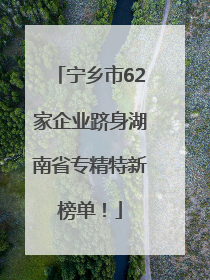 宁乡市62家企业跻身湖南省专精特新榜单！