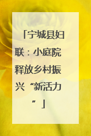 宁城县妇联：小庭院释放乡村振兴“新活力”