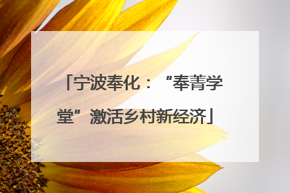 宁波奉化：“奉菁学堂”激活乡村新经济