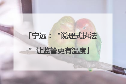 宁远：“说理式执法”让监管更有温度