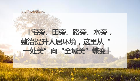 宅旁、田旁、路旁、水旁，整治提升人居环境，这里从“一处美”向“全域美”蝶变
