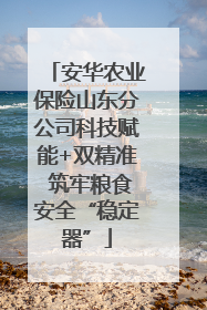 安华农业保险山东分公司科技赋能+双精准 筑牢粮食安全“稳定器”