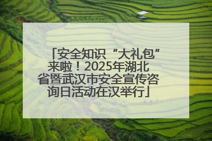 安全知识“大礼包”来啦！2025年湖北省暨武汉市安全宣传咨询日活动在汉举行