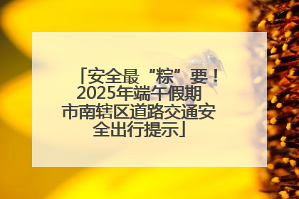 安全最“粽”要！2025年端午假期市南辖区道路交通安全出行提示