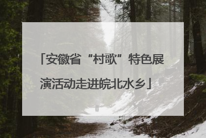 安徽省“村歌”特色展演活动走进皖北水乡