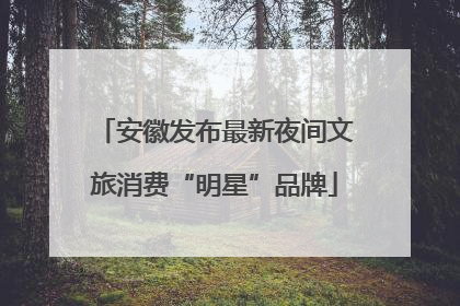 安徽发布最新夜间文旅消费“明星”品牌
