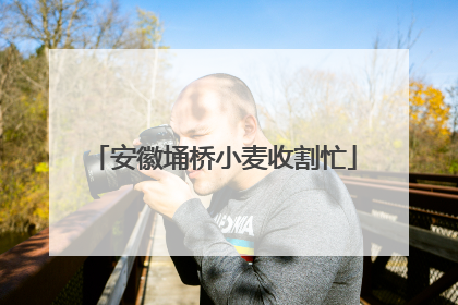 安徽埇桥小麦收割忙