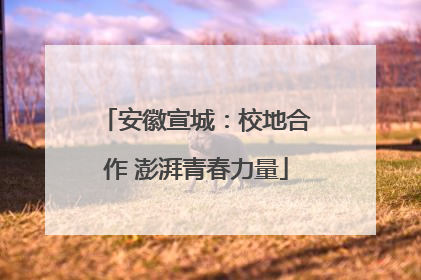 安徽宣城：校地合作 澎湃青春力量