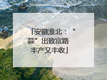 安徽淮北：“蒜”出致富路 丰产又丰收