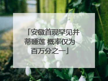 安徽首现罕见并蒂睡莲 概率仅为百万分之一
