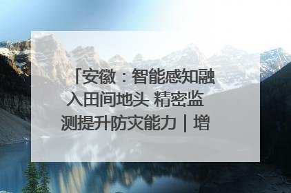 安徽：智能感知融入田间地头 精密监测提升防灾能力｜增发国债气象项目落地见效系列报道