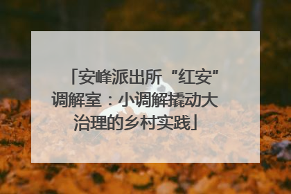 安峰派出所“红安”调解室：小调解撬动大治理的乡村实践