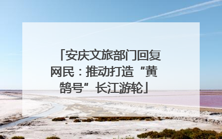 安庆文旅部门回复网民：推动打造“黄鹄号”长江游轮