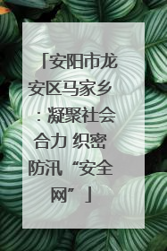 安阳市龙安区马家乡：凝聚社会合力 织密防汛“安全网”