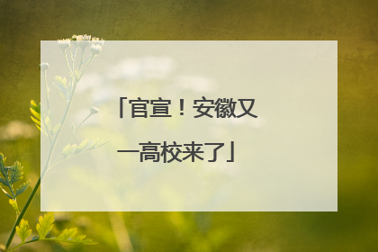 官宣！安徽又一高校来了