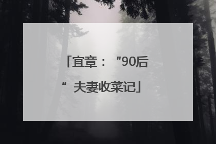 宜章：“90后”夫妻收菜记