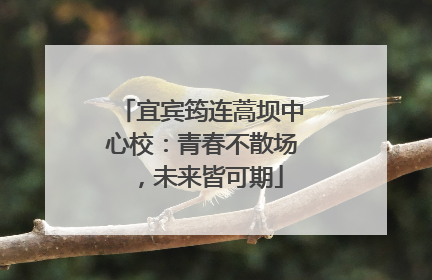 宜宾筠连蒿坝中心校：青春不散场，未来皆可期