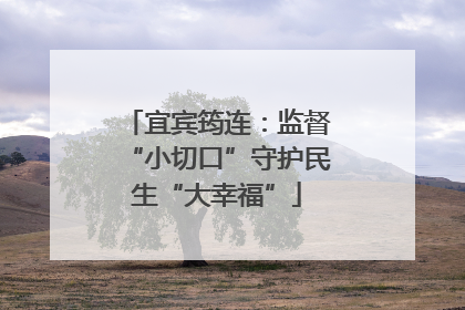 宜宾筠连：监督“小切口”守护民生“大幸福”
