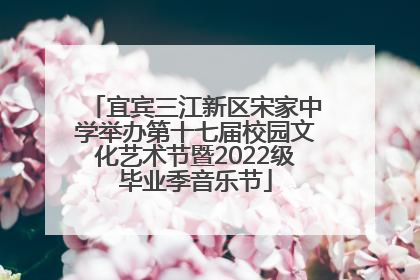宜宾三江新区宋家中学举办第十七届校园文化艺术节暨2022级毕业季音乐节