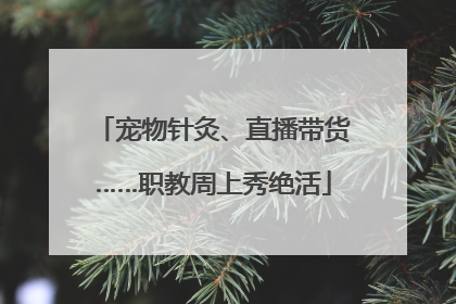 宠物针灸、直播带货……职教周上秀绝活