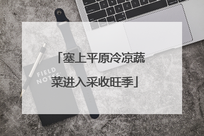 塞上平原冷凉蔬菜进入采收旺季