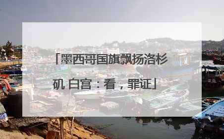 墨西哥国旗飘扬洛杉矶 白宫：看，罪证